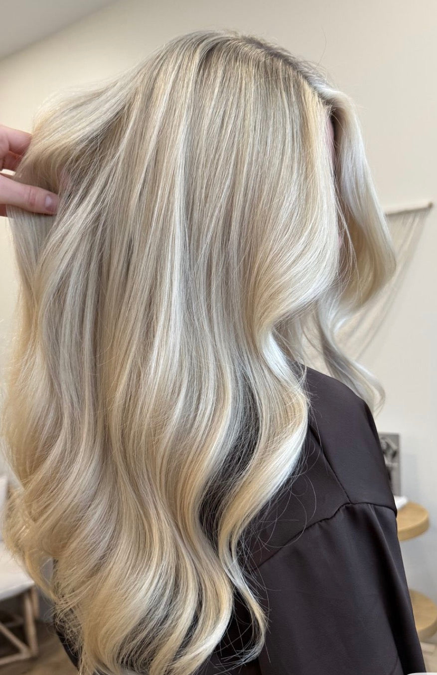 BLONDE JOURNEY PACKAGE